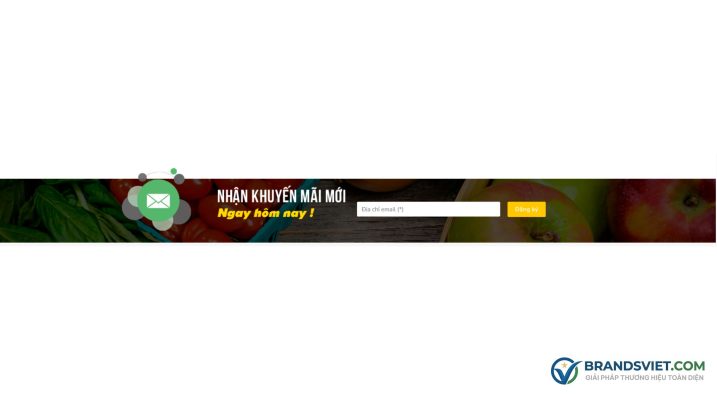 nhập mail nhận khuyến mãi Theme WordPress bách hóa 05