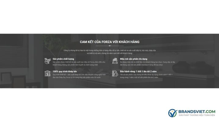 Section cam kết khách hàng Theme WordPress bán bếp từ, bếp hồng ngoại 02