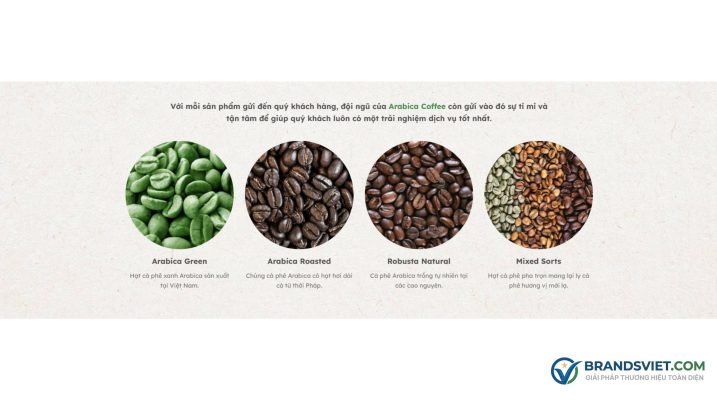 Section phân loại hạt cafe Theme WordPress bán cafe 04