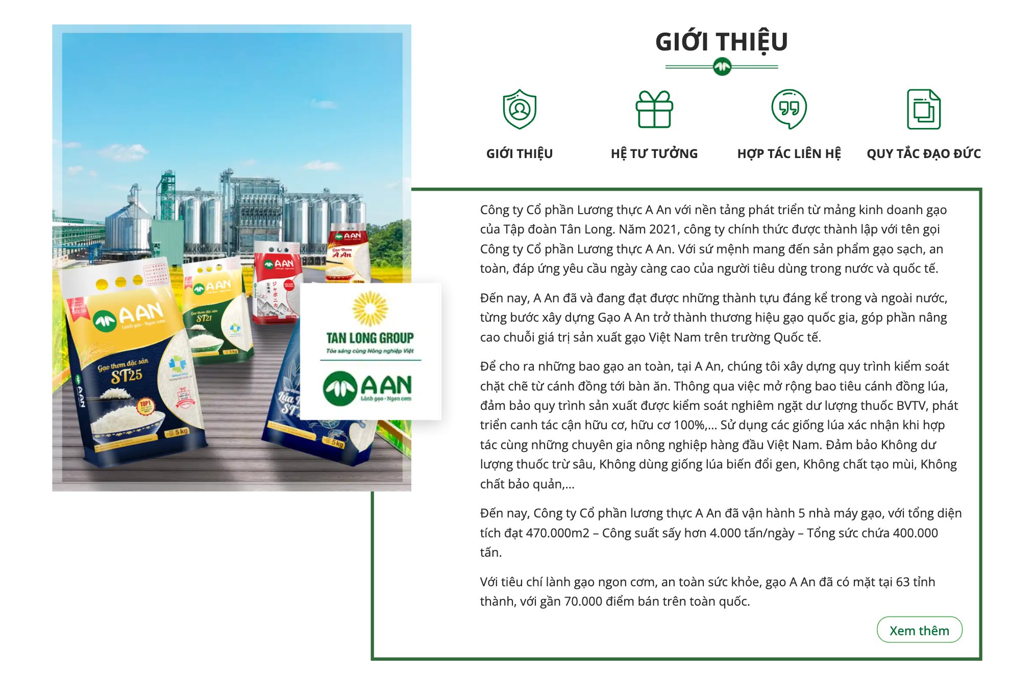 Khối giới thiệu công ty trên theme công ty bán gạo A An
