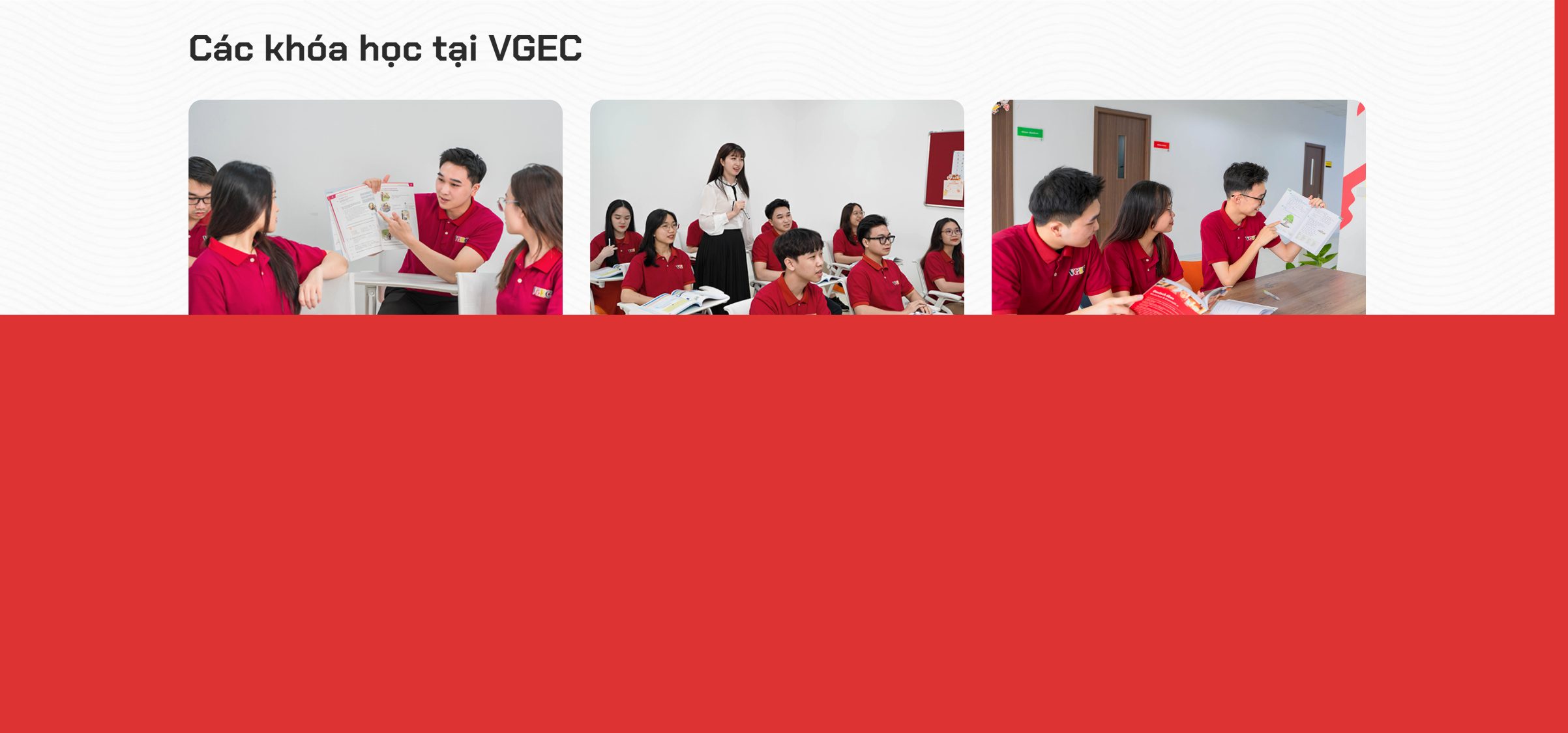 Các khóa học trên theme du học Đức
