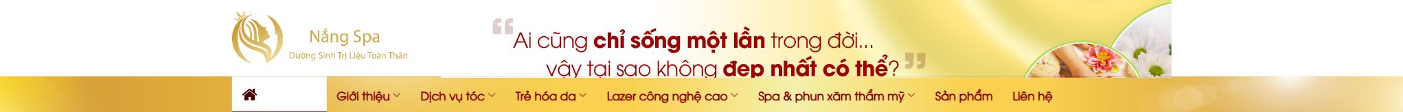 Theme spa thẩm mỹ viện - Header và menu dịch vụ của theme spa thẩm mỹ viện