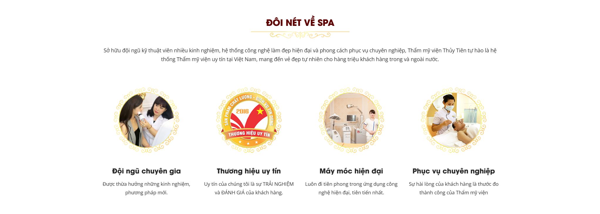 Theme spa thẩm mỹ viện - Khối đôi nét về spa và thế mạnh