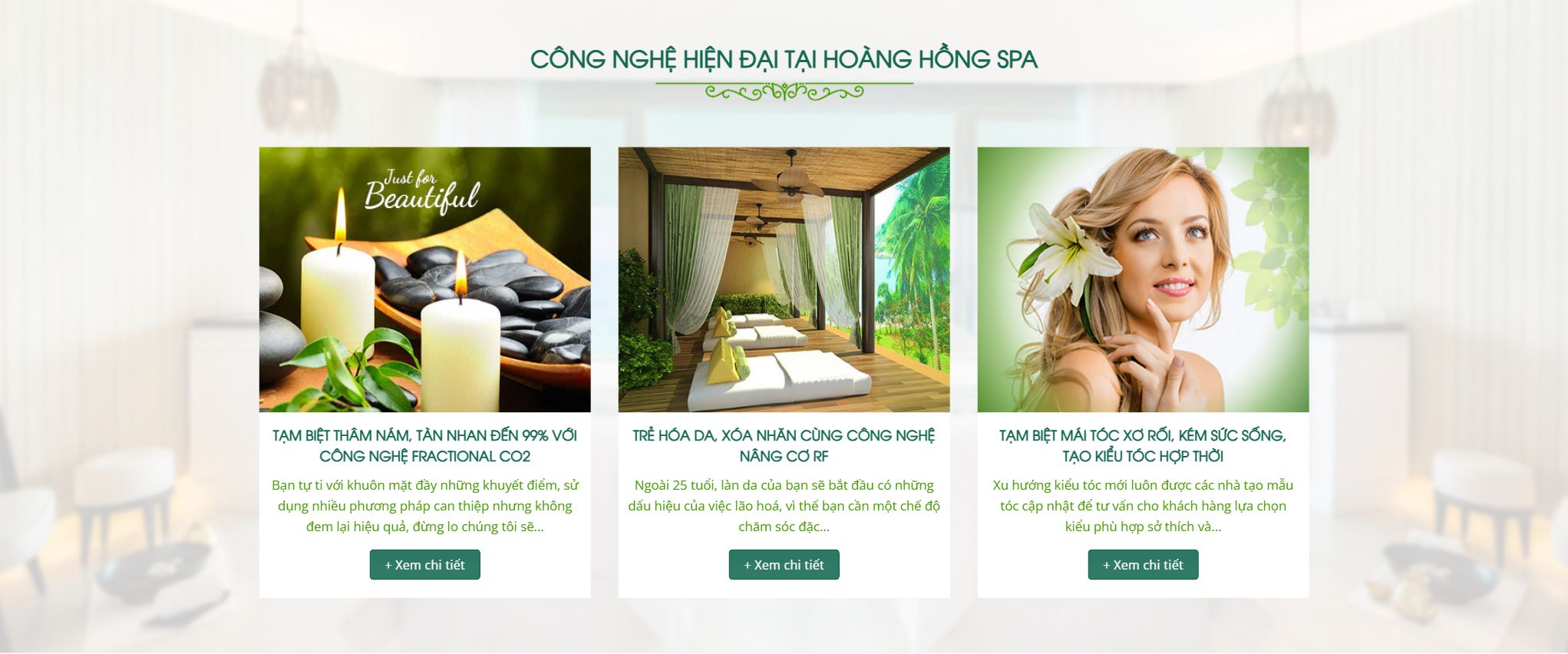 Theme thẩm mỹ viện - Khối dịch vụ làm đẹp của theme thẩm mỹ viện