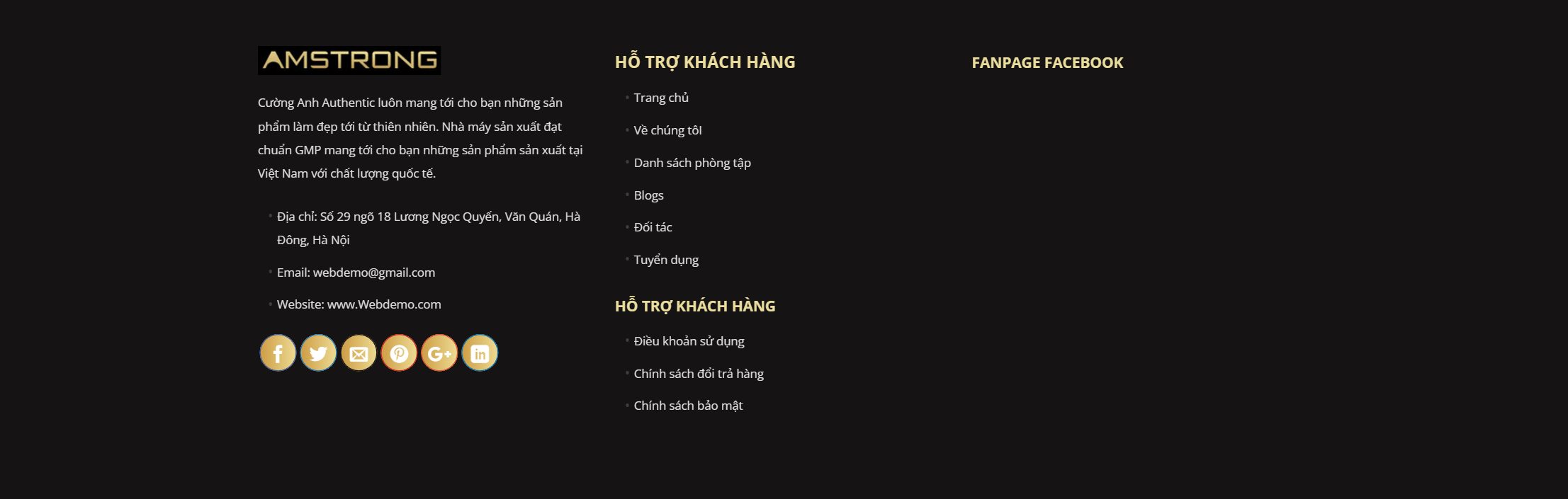 Theme thực phẩm chức năng - Chân trang của mẫu theme thực phẩm chức năng