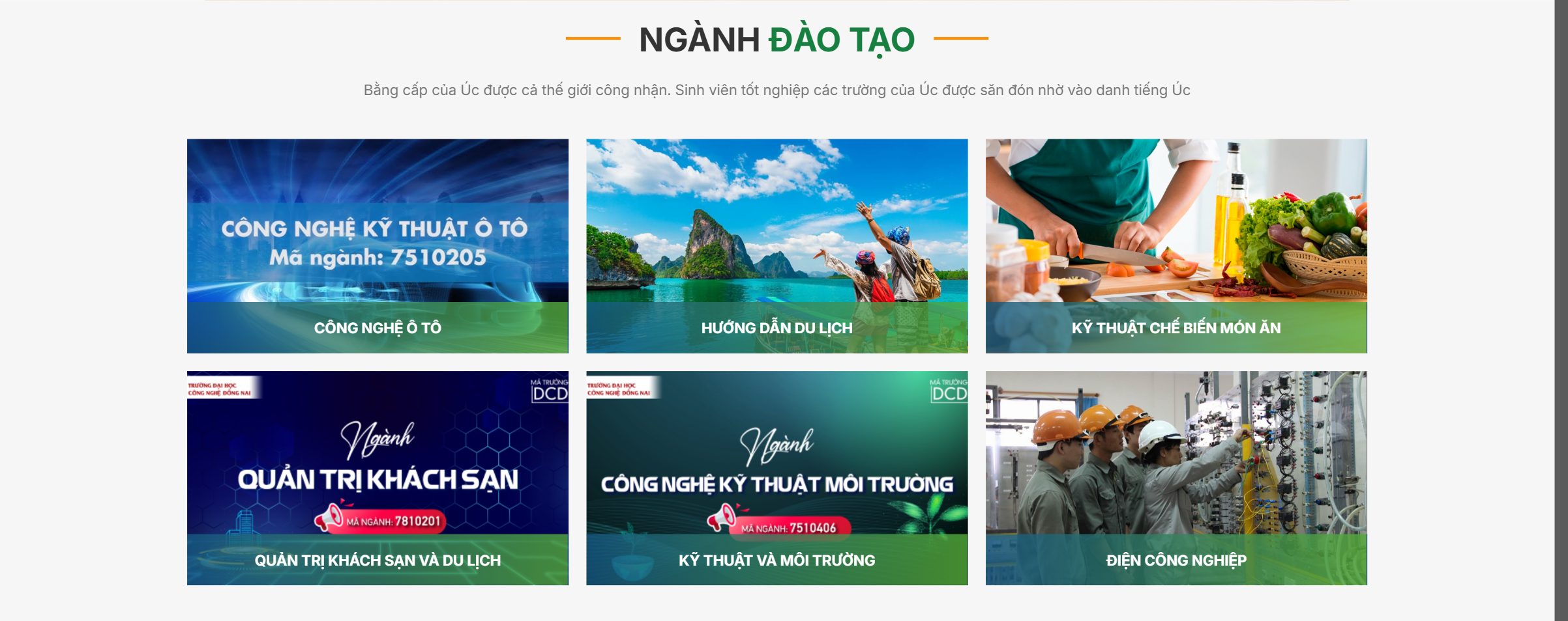 Ngành đào tạo trên theme trường dạy nghề