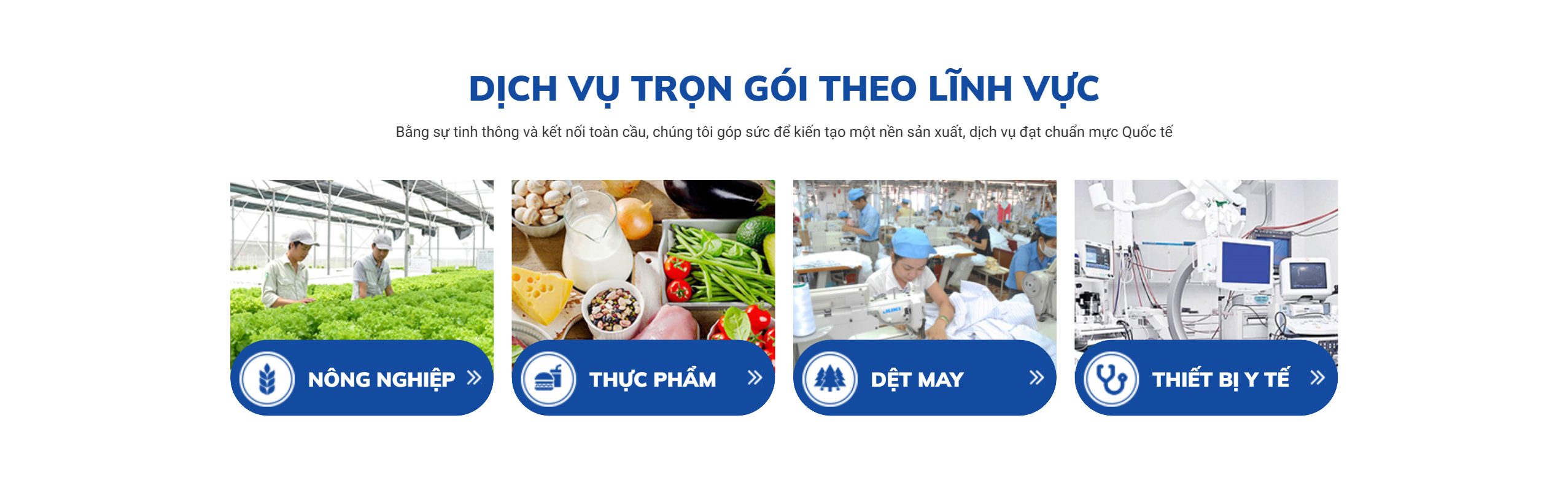 Dịch vụ theo lĩnh vực trên theme WordPress trung tâm chứng nhận và kiểm định