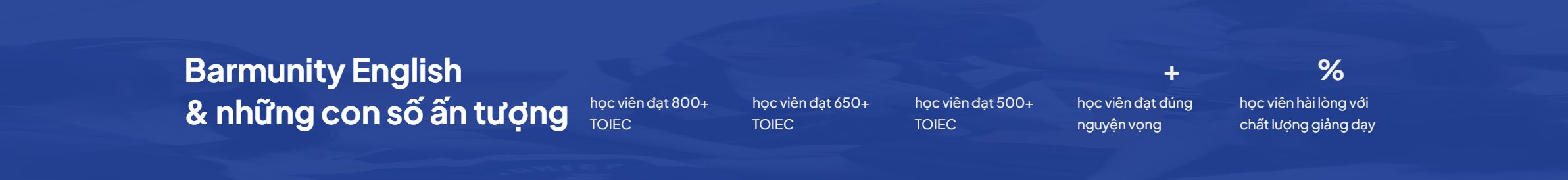 Khối những con số ấn tượng trên theme WordPress trung tâm học tiếng Anh